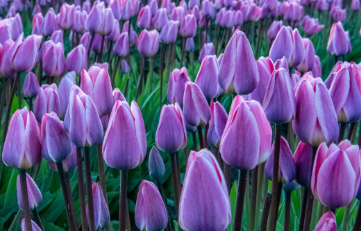 �1761353 �������(a): ����������:1920x1225